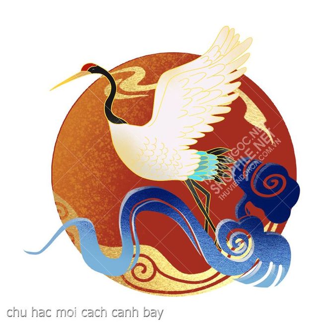 chu hac moi cach canh bay
